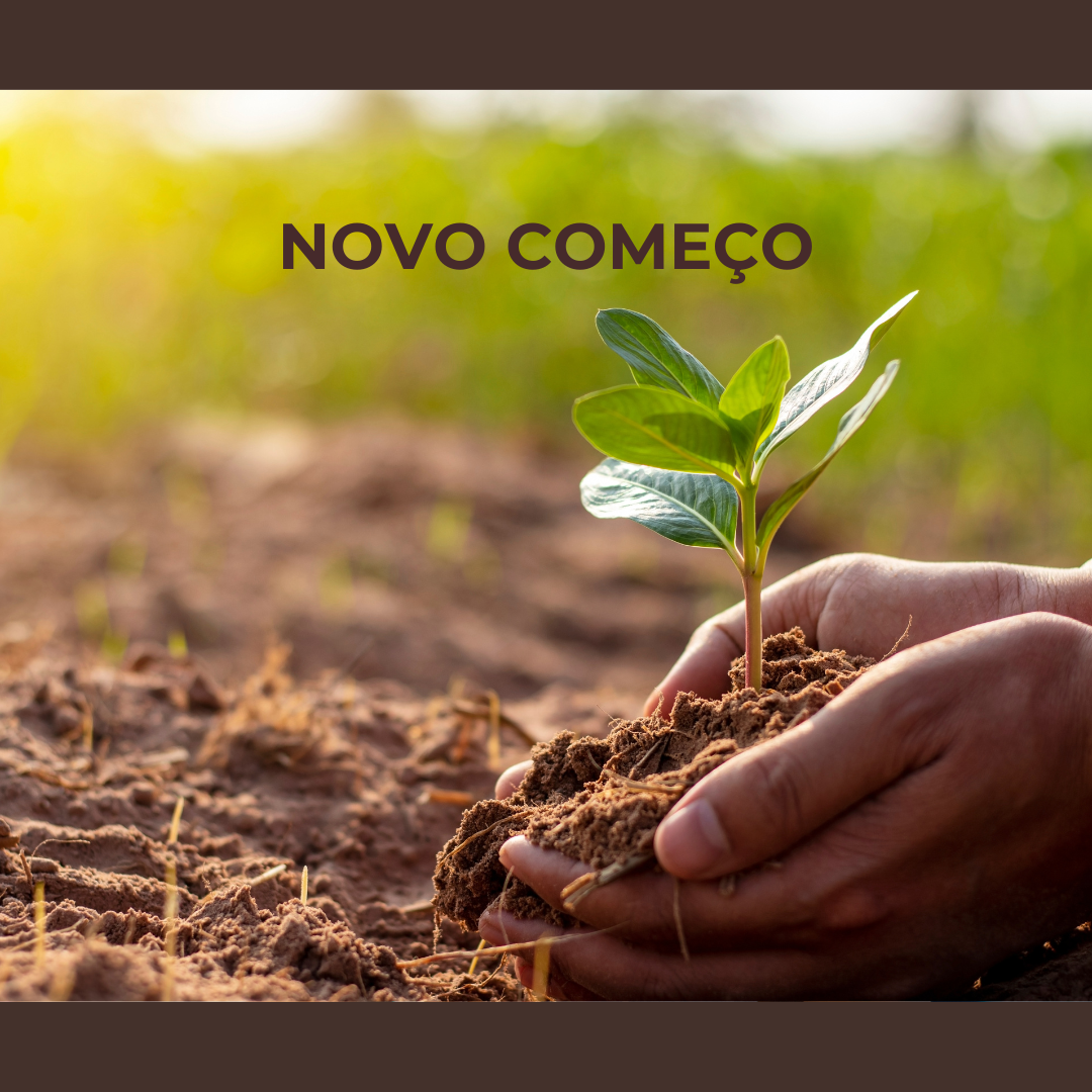 NOVO COMEÇO